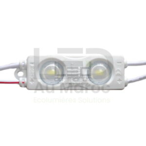 Module led 2LED A Blanc Froid