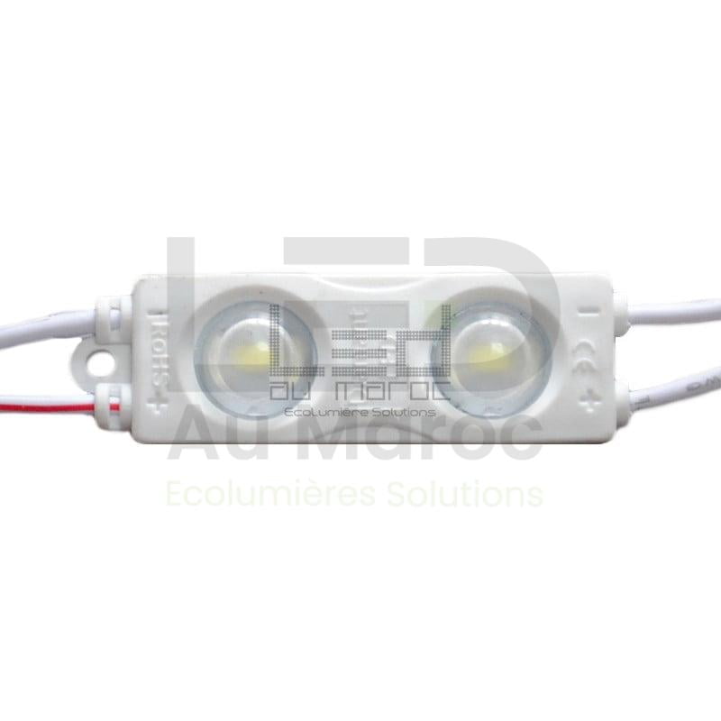 1 Module led 2LED A Blanc Froid – Image 1