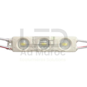 Module led 3LED Blanc Froid