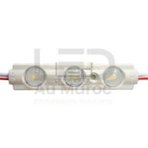 Module led 3LED Blanc Froid
