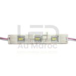 Module led 3LED Blanc Froid