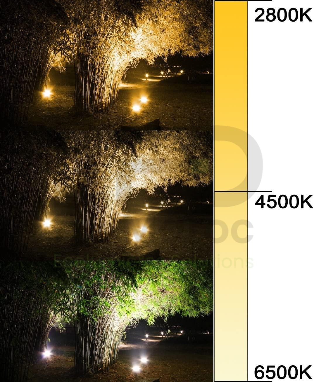 81TnSHBAfcL._AC_SL1309_