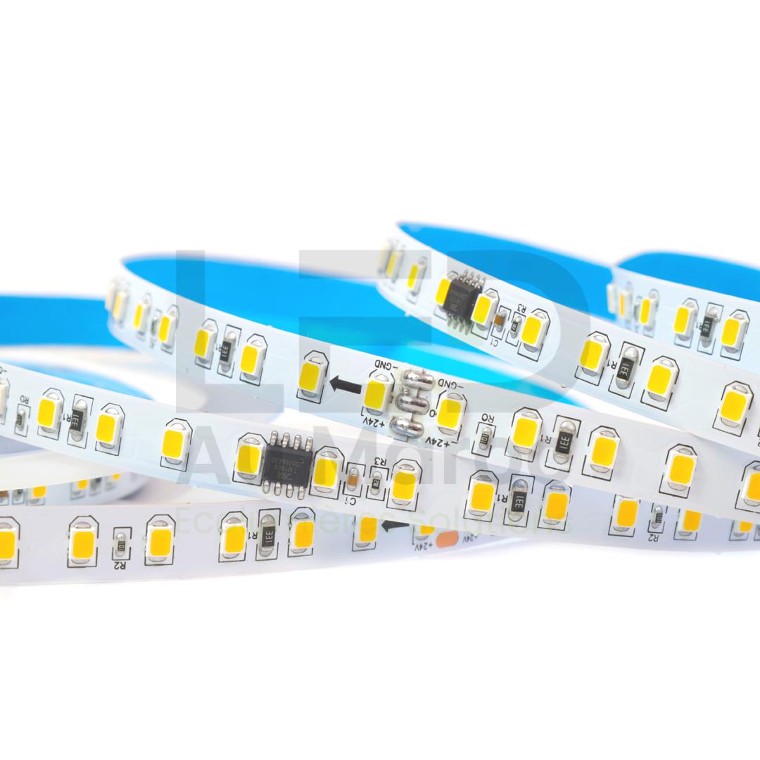 LAM-2811120-WW-24V (2)