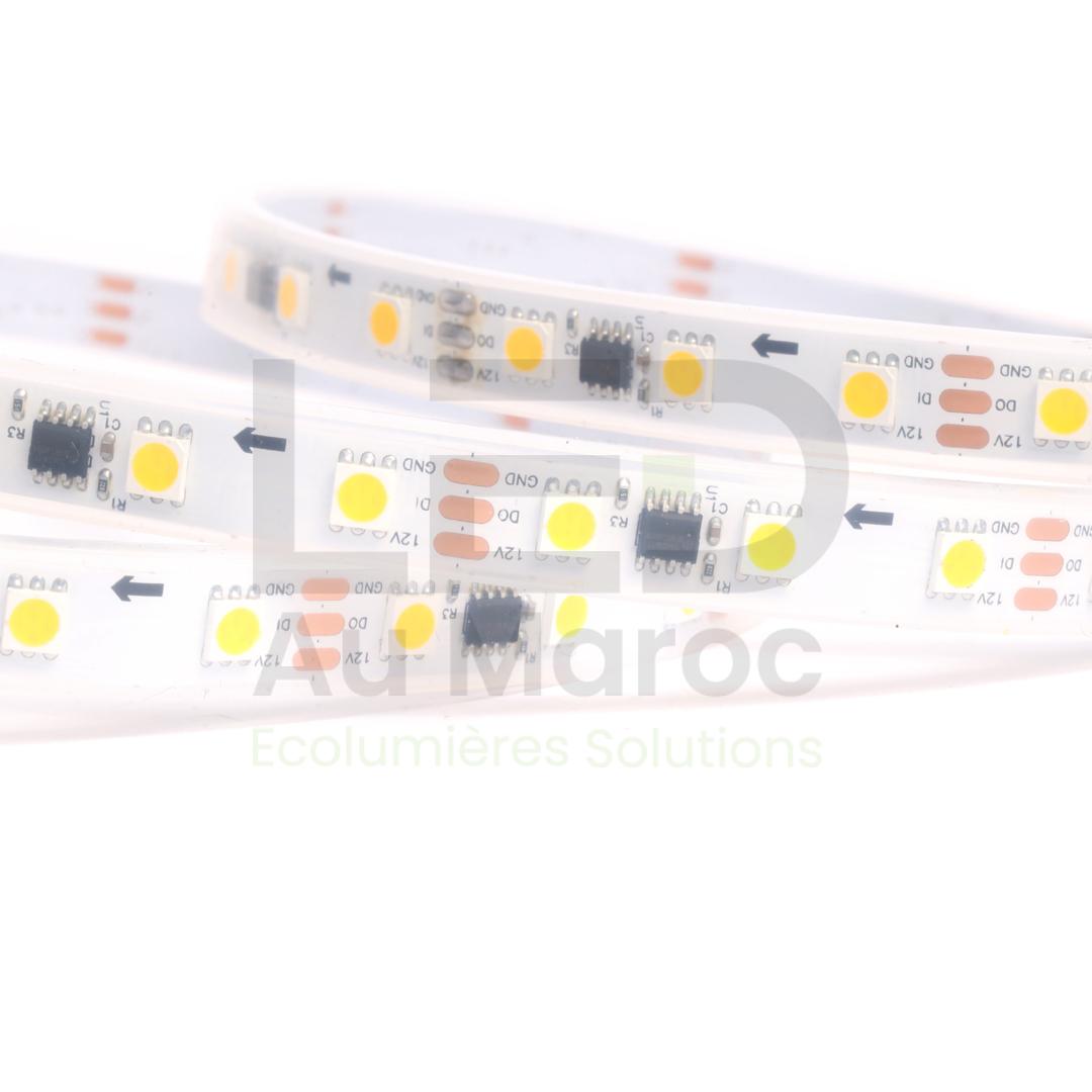 LAM-281160-WW67-12-2