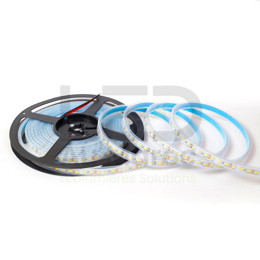 LAM-28120-NW67-12V (1)