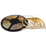 RUBAN 2835/180 IP65 DIAMANTLED 24V 10M