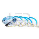 RUBAN 5050/60 CCT 24V 5M