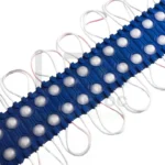 MODULE 2LED LENT OL BLEU