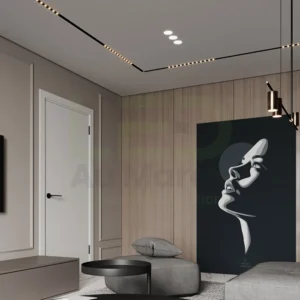 ECLAIRAGE LASER MAGNETIQUE 12W 3CCT – Image 6