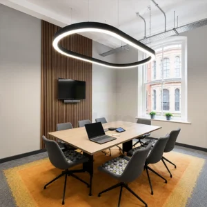 Luminaire LED en Forme Ovale – Image 5