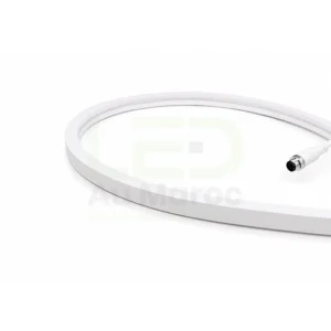 DYNAMIC LED NEON STRIP RGBW (3000K) DMX512/RDM – Image 3